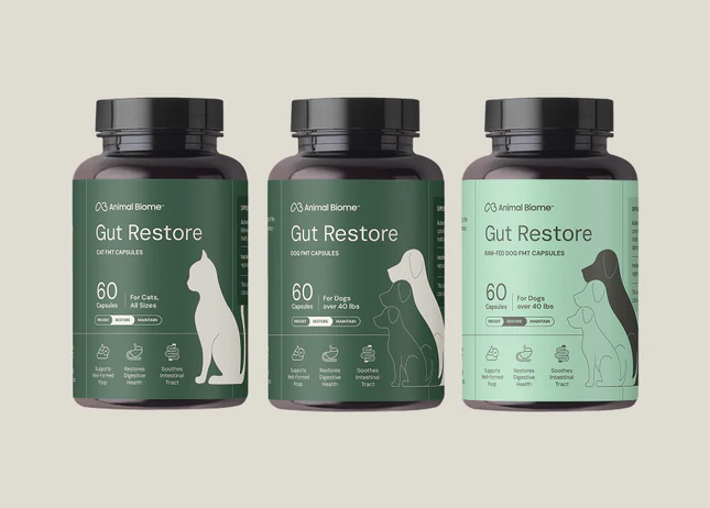 Science Your Pet Can Feel