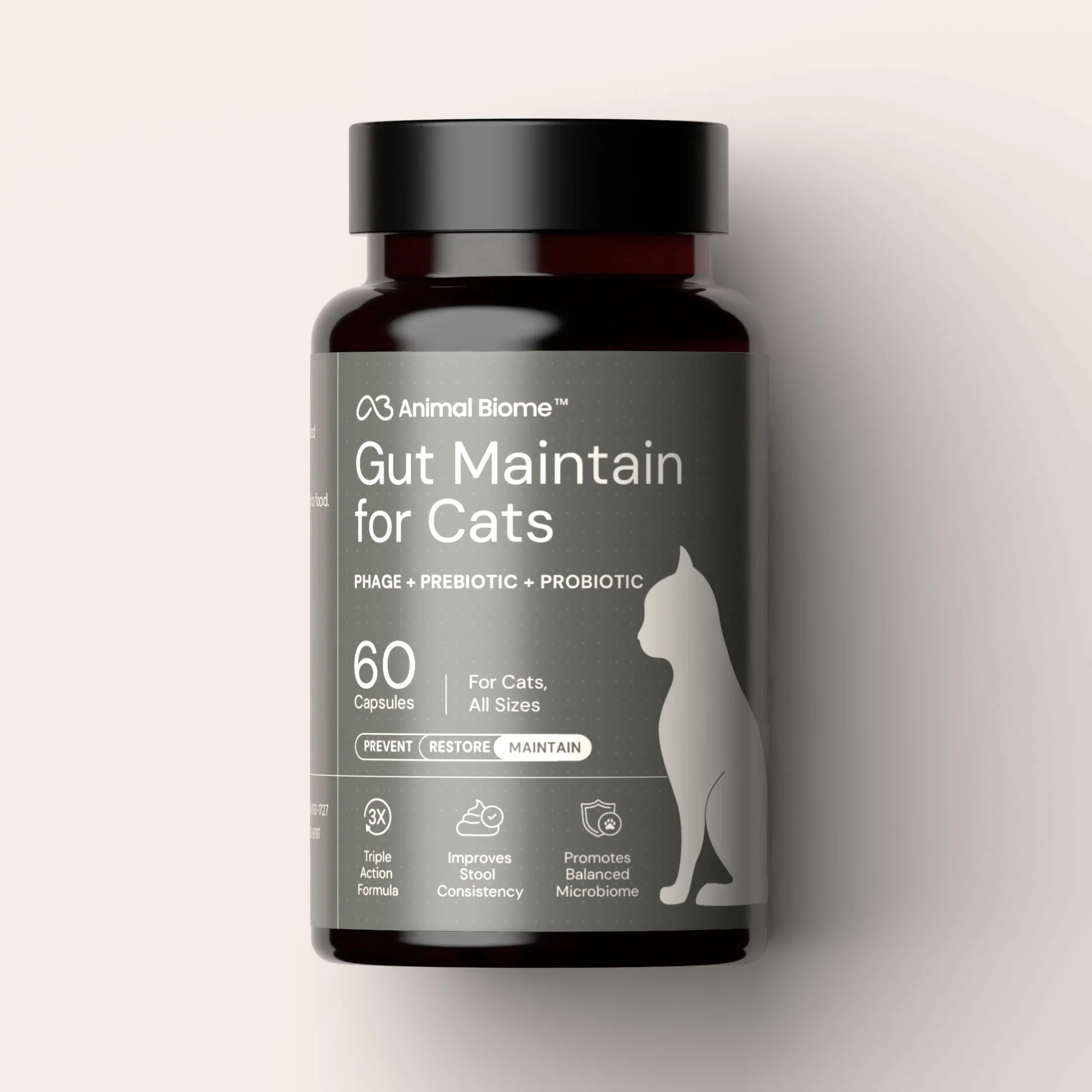 Bestseller Collection - Cats